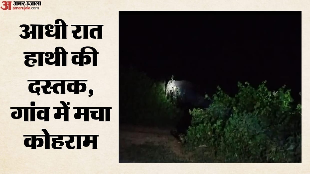 MP News Wild Elephant Attacks Village in Maihar Kills Elderly Man and Destroys Houses