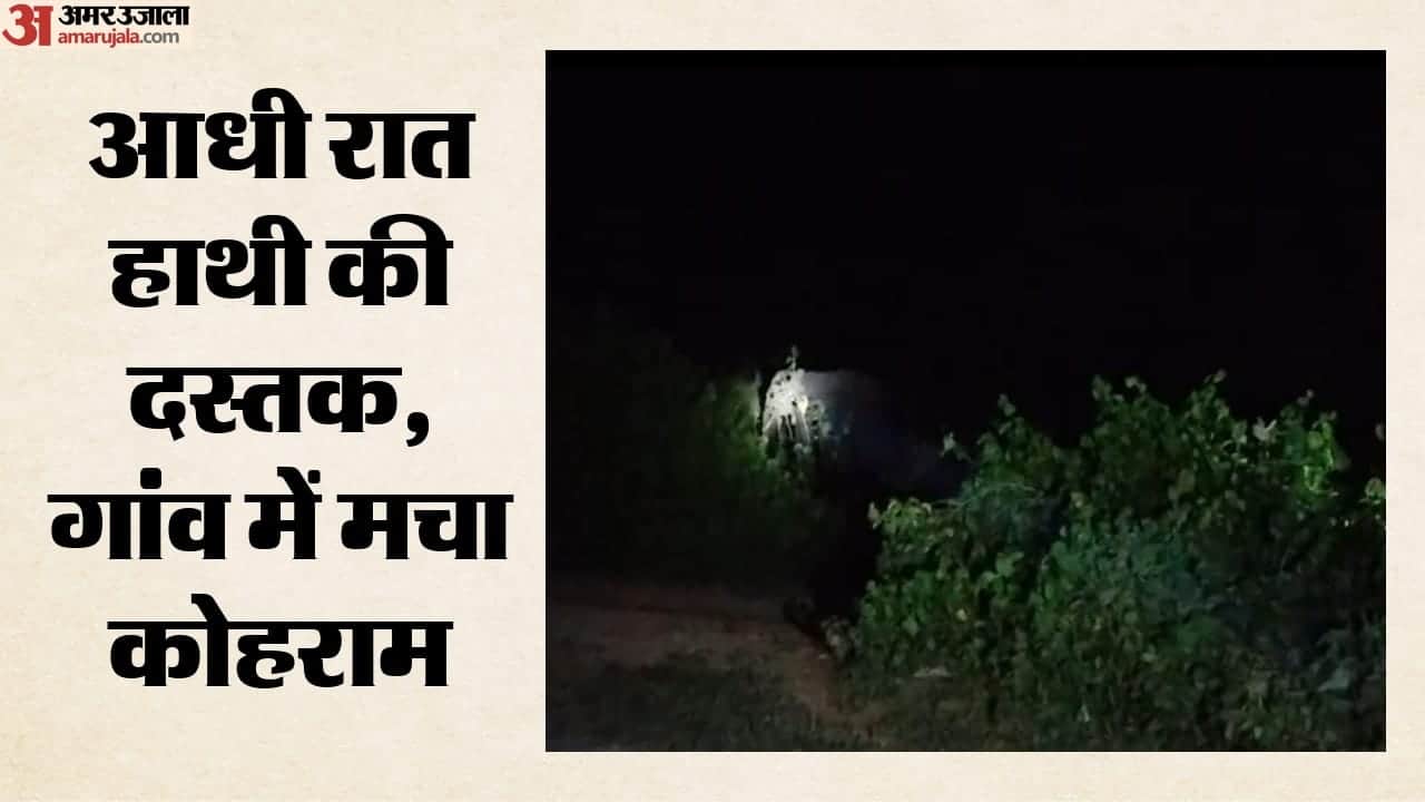 गांव में हाथी ने मचाया कोहराम