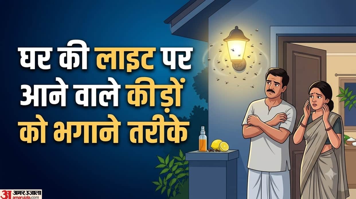 Insects Gather Around Home Lights? Try These 4 Easy Ways to Keep Them Away