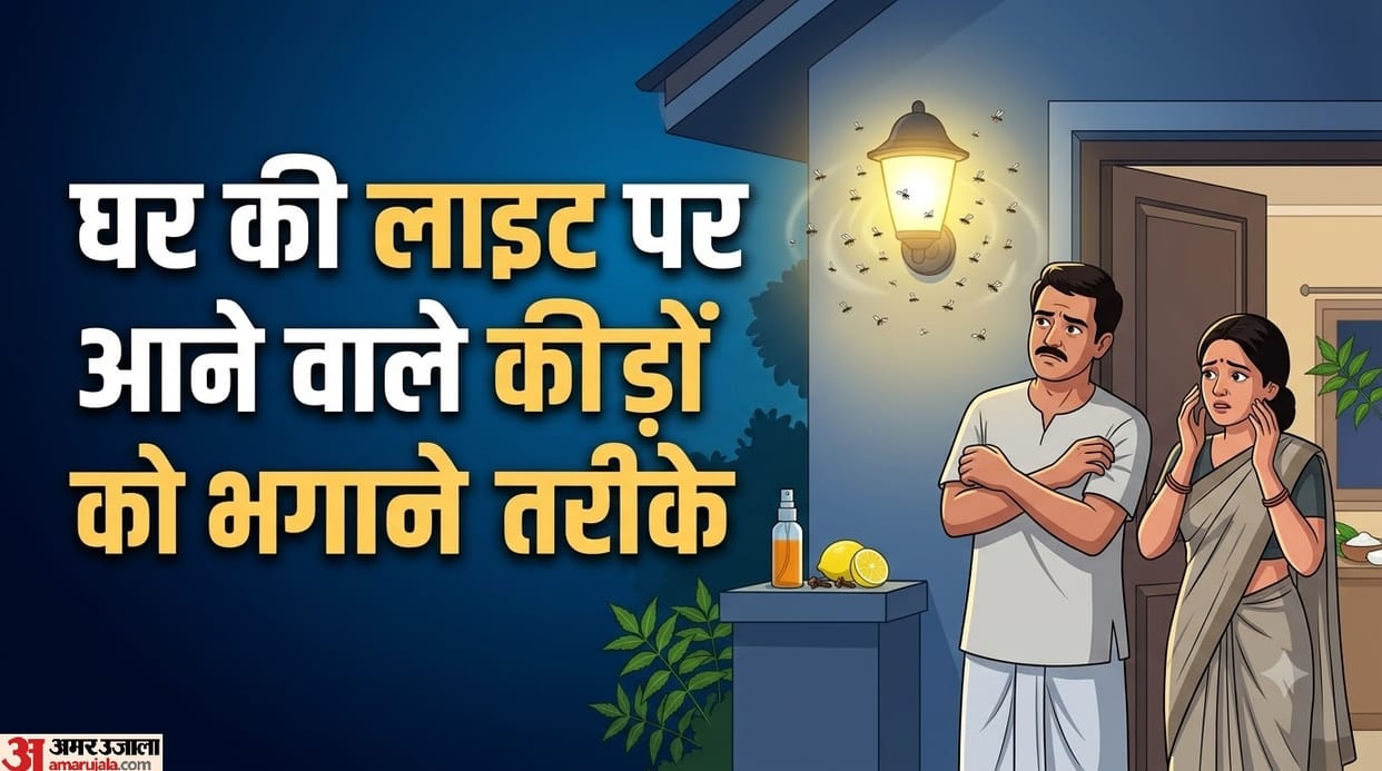 Insects Gather Around Home Lights? Try These 4 Easy Ways to Keep Them Away