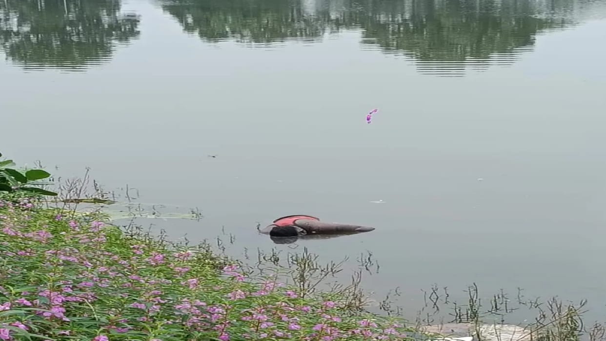 Lucknow: Nine-year-old only son dies after drowning in a pond; mother faints.