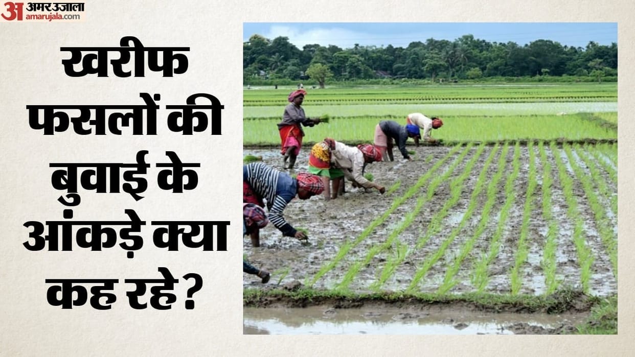 Kharif Paddy Sowing Down 3.71%, Pulses Acreage Rises