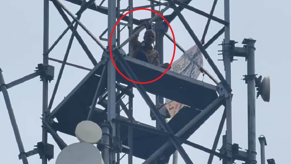 Roadways contract driver climbed on mobile tower