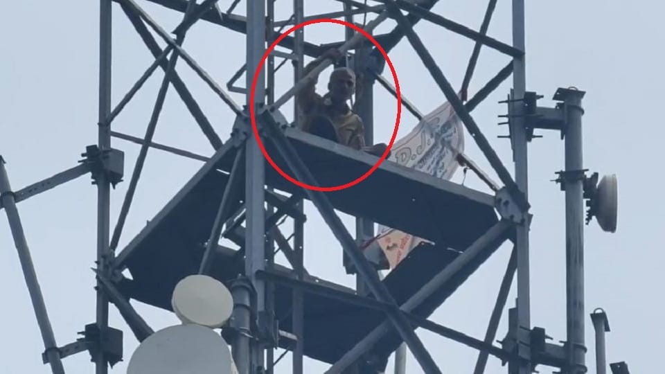 Roadways contract driver climbed on mobile tower