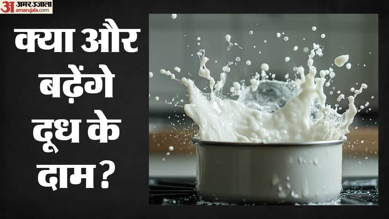 Farmers Rejoice! This State Increases Milk Procurement Price, Know When Benefits Begin?