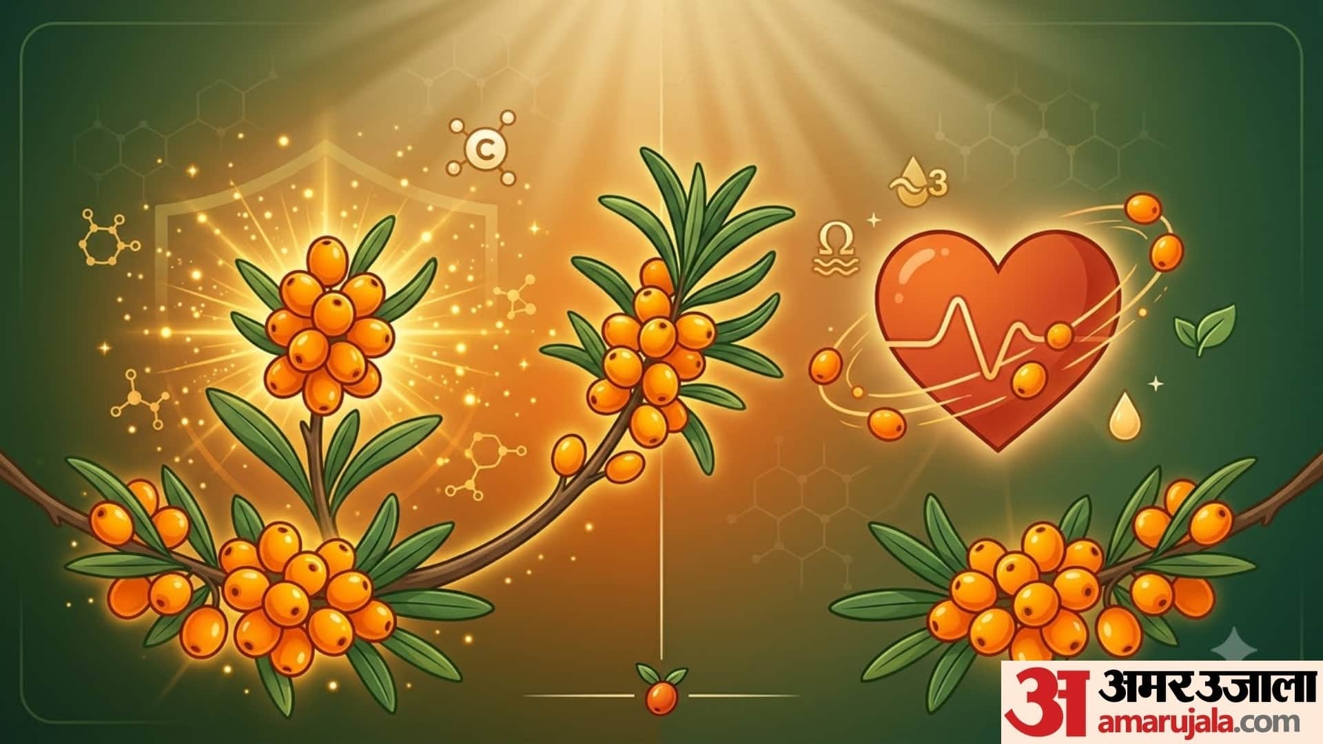what is Sea Buckthorn health benefits of sea buckthorn in hindi disprj