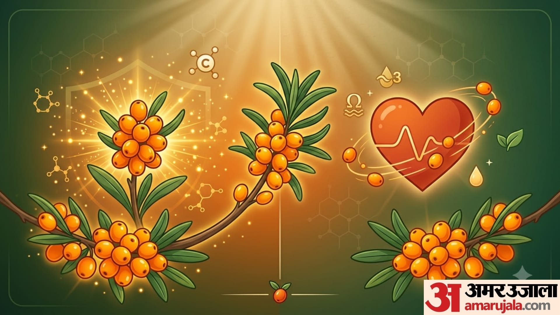 what is Sea Buckthorn health benefits of sea buckthorn in hindi disprj