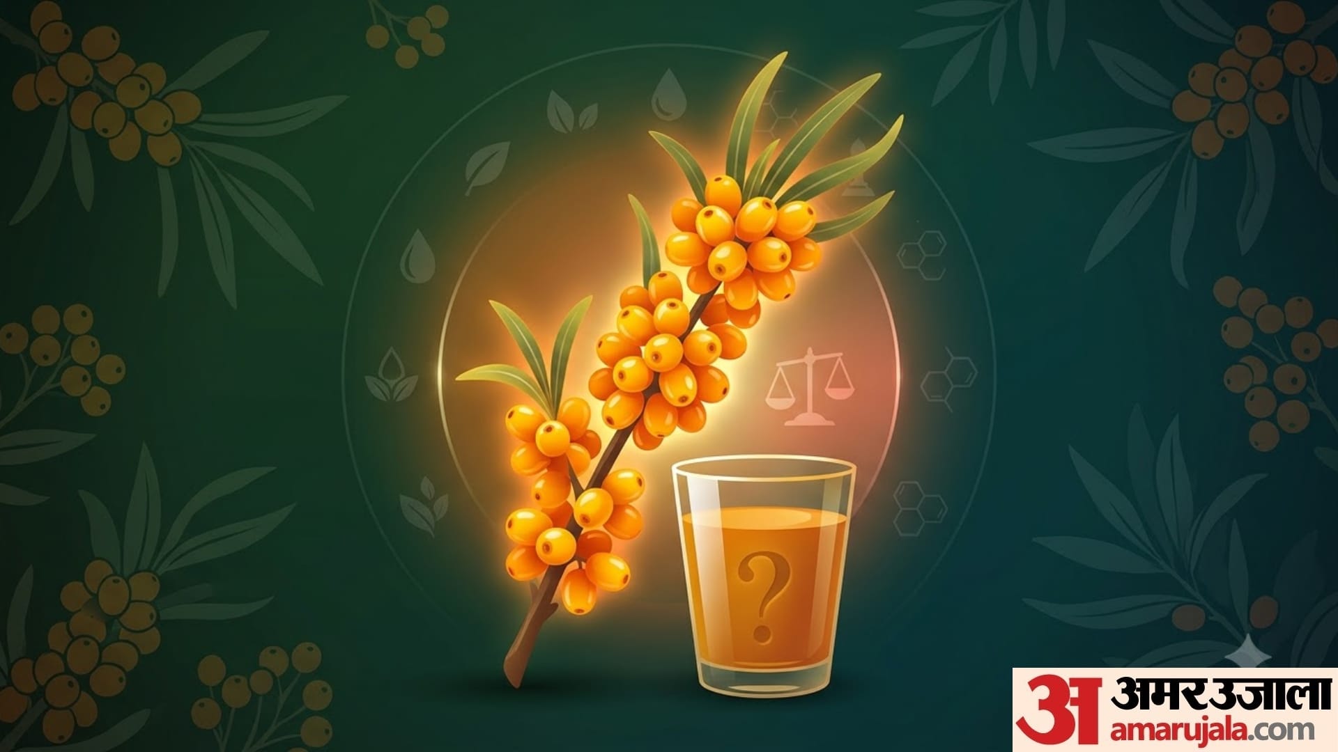 what is Sea Buckthorn health benefits of sea buckthorn in hindi disprj