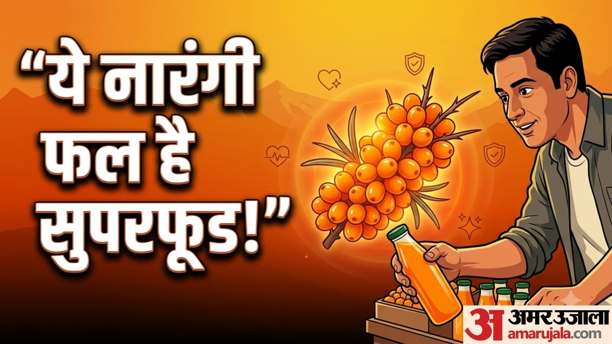 what is Sea Buckthorn health benefits of sea buckthorn in hindi disprj