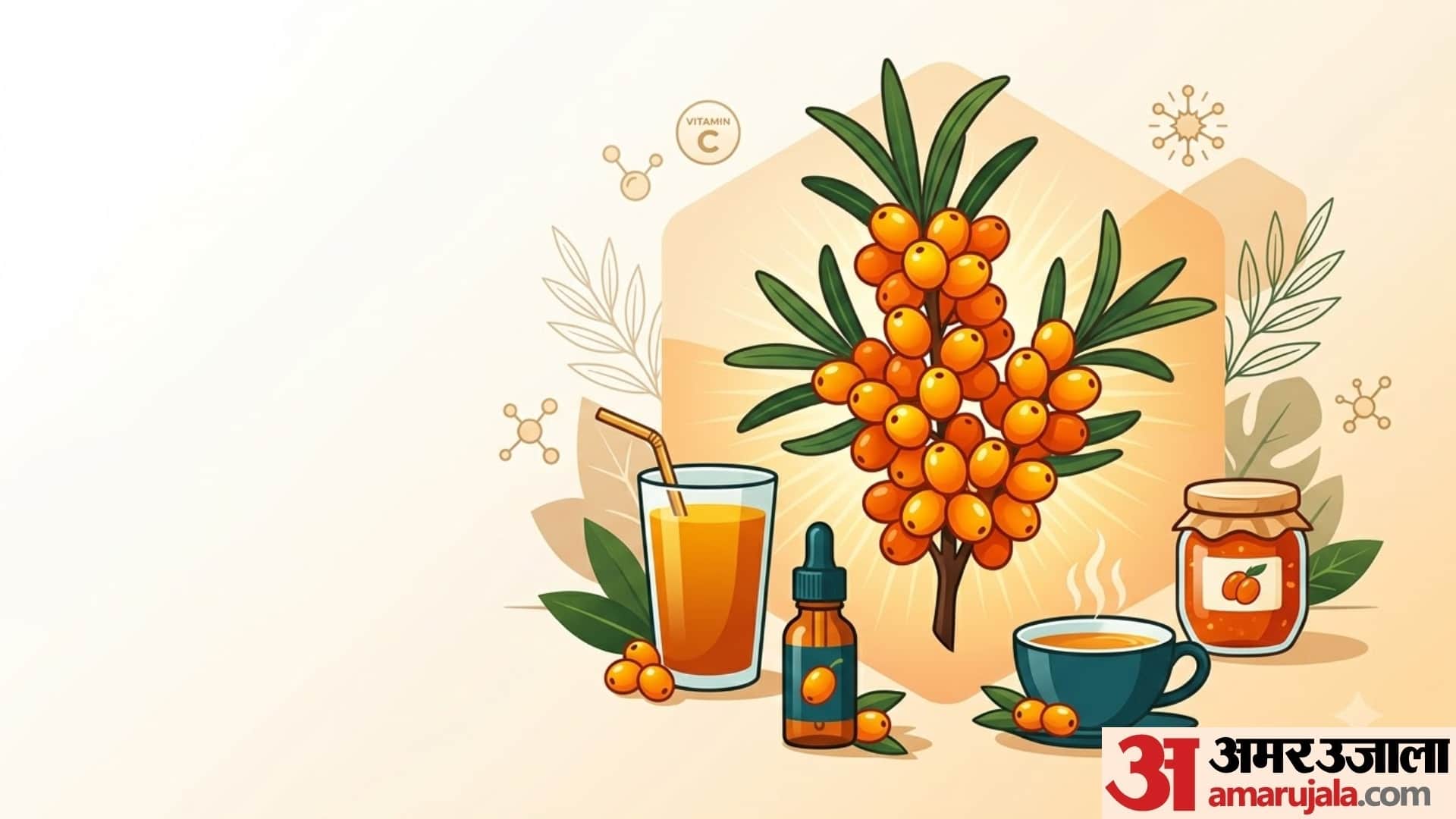 what is Sea Buckthorn health benefits of sea buckthorn in hindi disprj