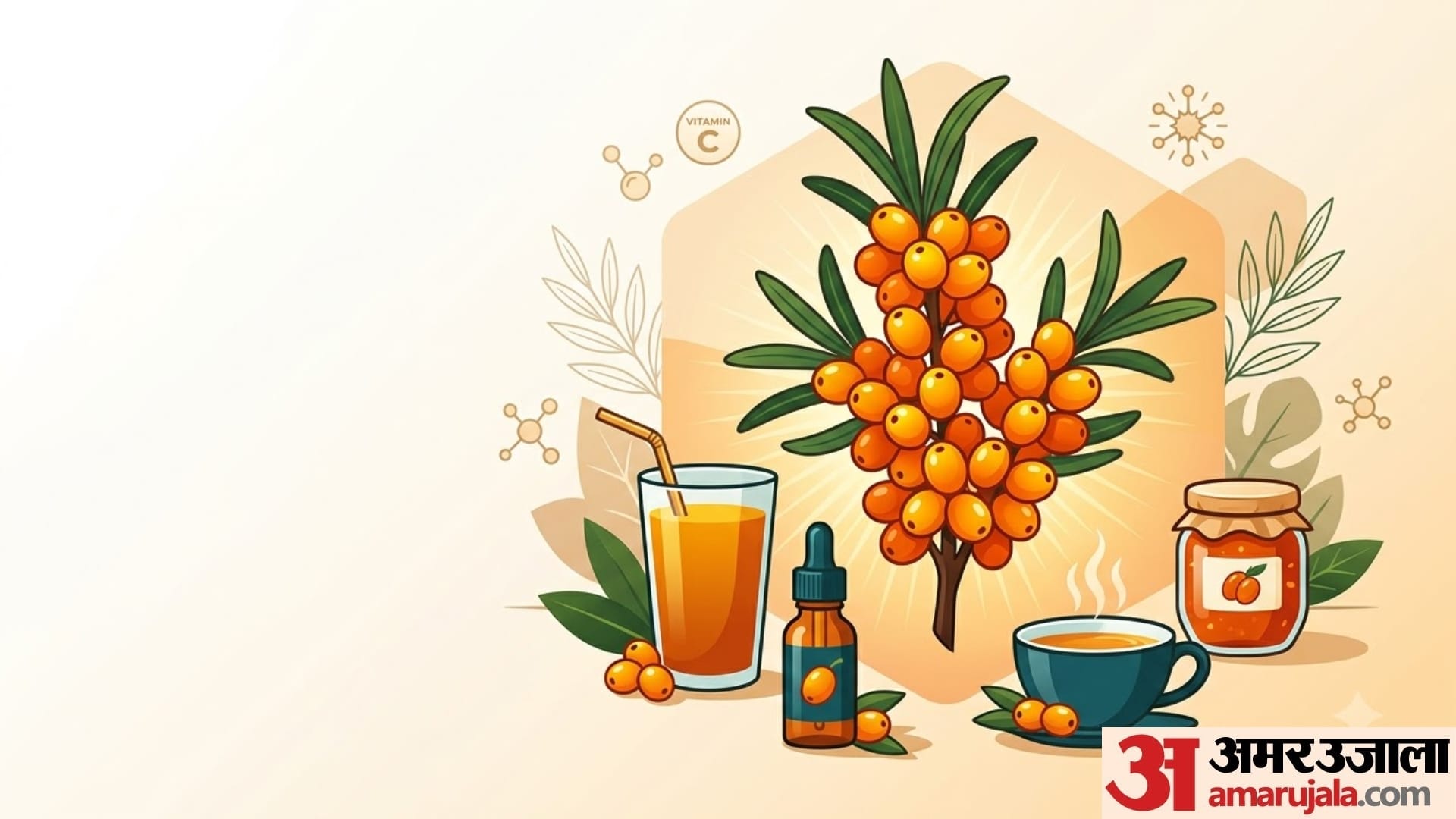 what is Sea Buckthorn health benefits of sea buckthorn in hindi disprj