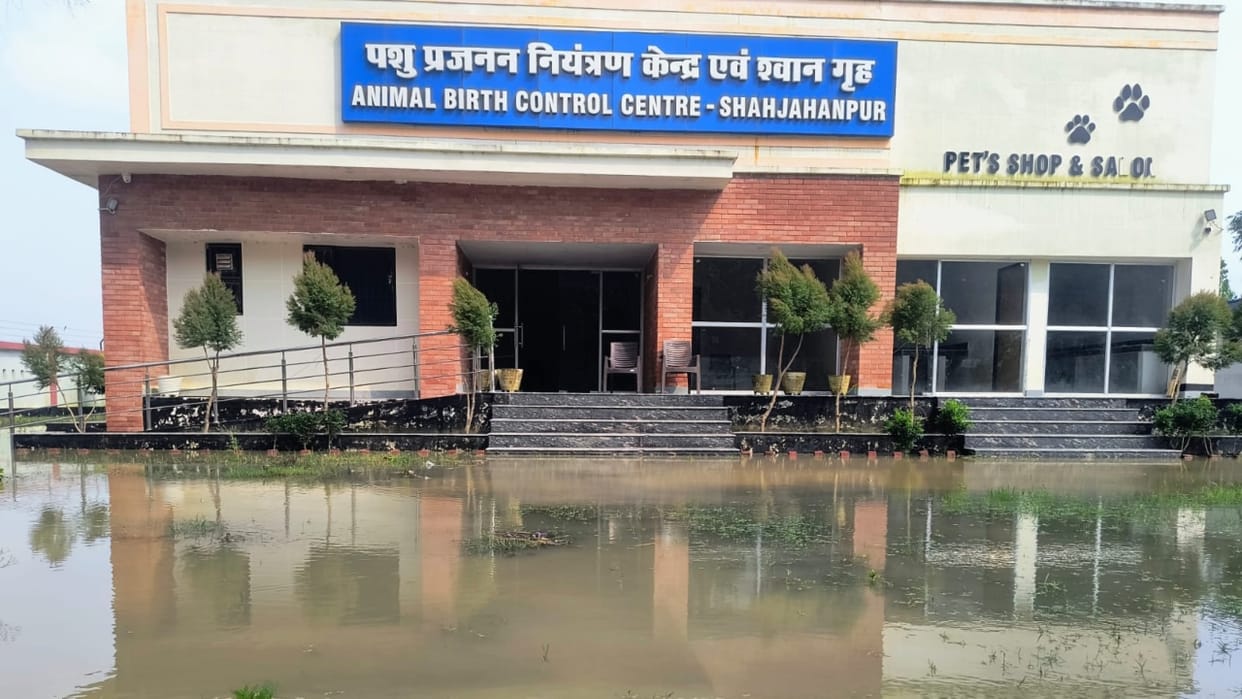 flood water enters Animal Birth Control Centre staff left leaving the dogs behind in Shahjahanpur