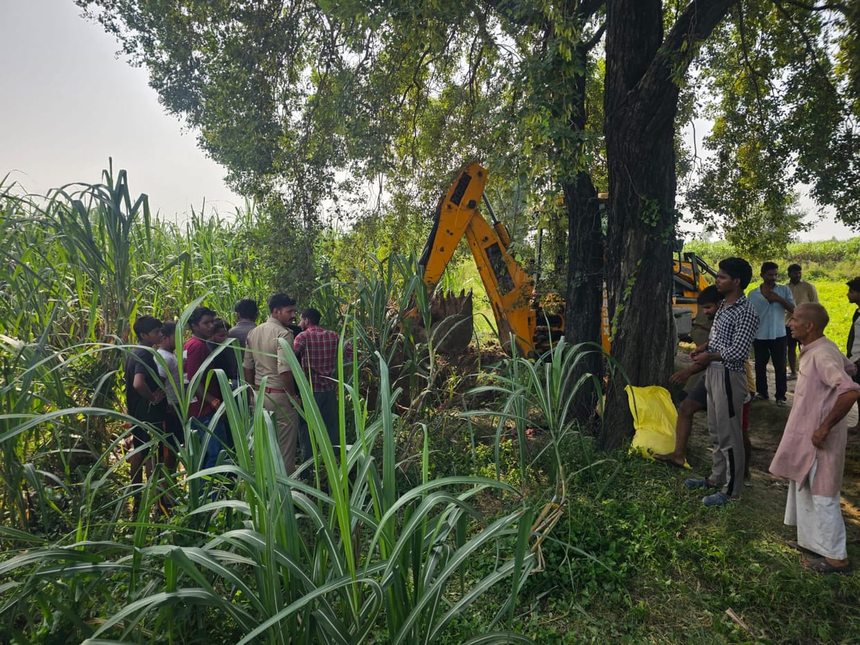 Meerut: Uproar After Cattle Remains Found in Kinanagar Forest, One Detained