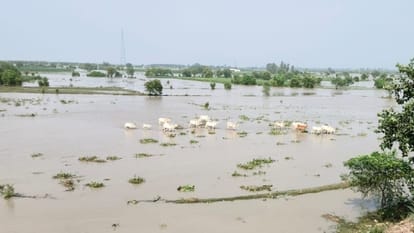 24 villages in Dataganj area of Badaun affected by floods