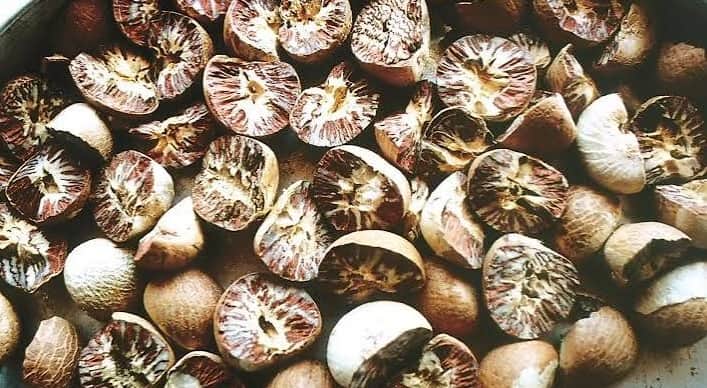 Banda Raid on an illegal gutkha factory late at night goods, including two quintals of betel nut seized