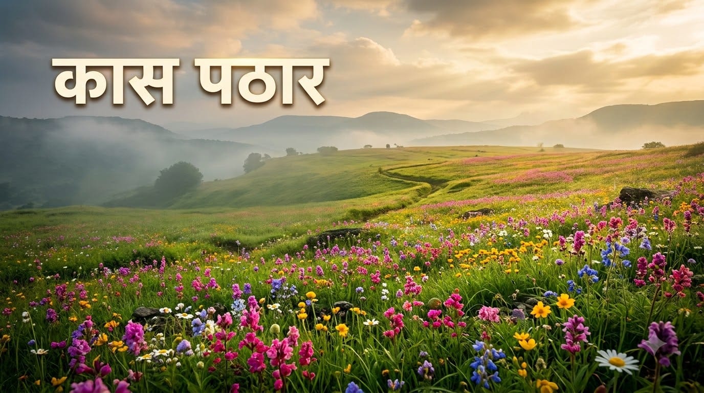 Best Places to Visit in September in India: Top Post-Monsoon Destinations