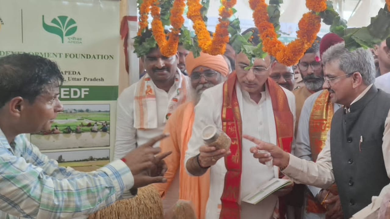 बासमती चावल देखते केंद्रीय राज्यमंत्री जितिन प्रसाद