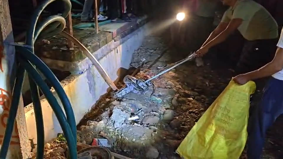 Chitrakoot: 15-foot python spotted on Collectorate Road; Forest Department carries out rescu
