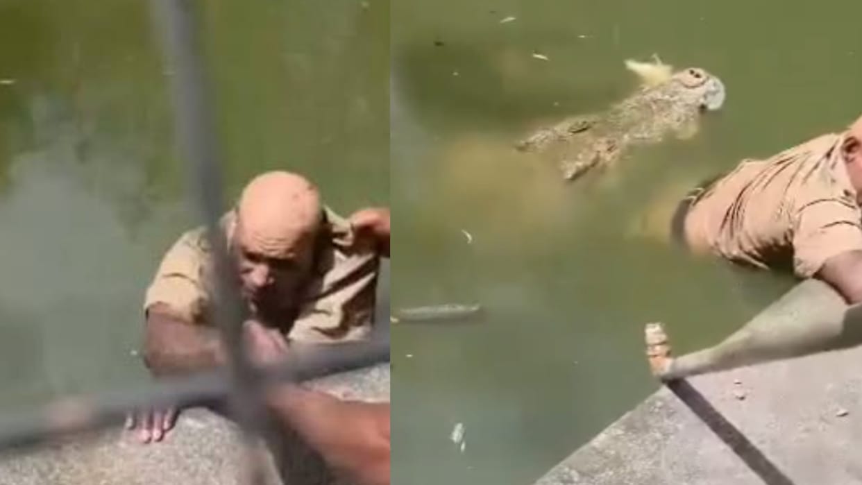 Worker Dragged Into Water, Killed By Crocodile At Papua New Guinea Wildlife Park