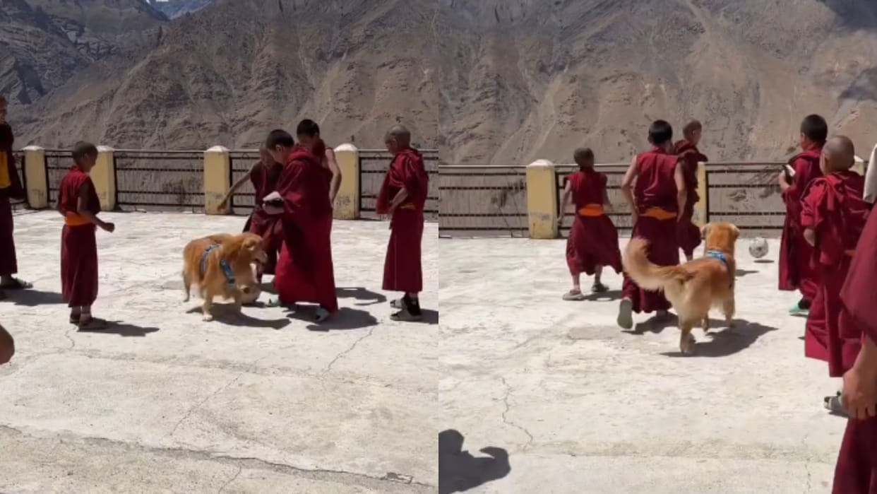 Himachal spiti valley young monks playing football with dog viral video