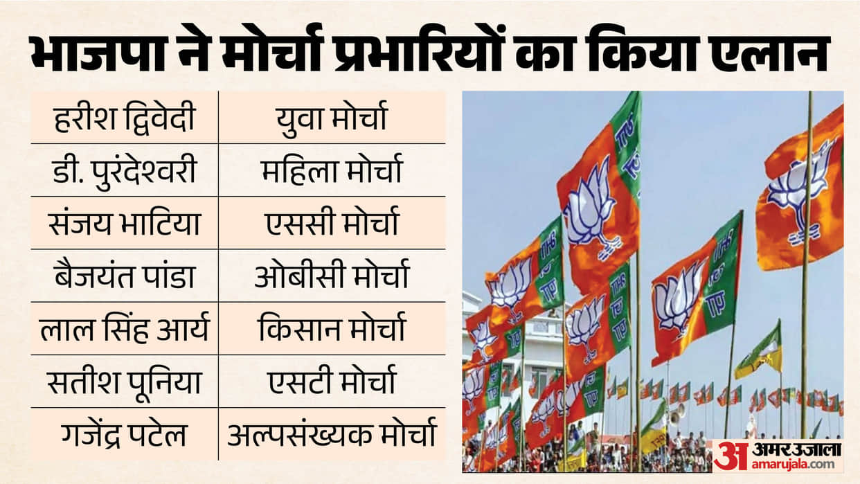BJP reshuffles in charges of its wings Baijayant Panda gets charge of OBC Morcha and Satish Poonia ST Morcha