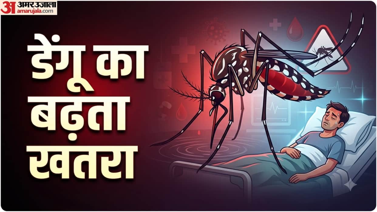 Kanpur Six new dengue cases reported tally reaches 98 malaria and scrub typhus add to concerns