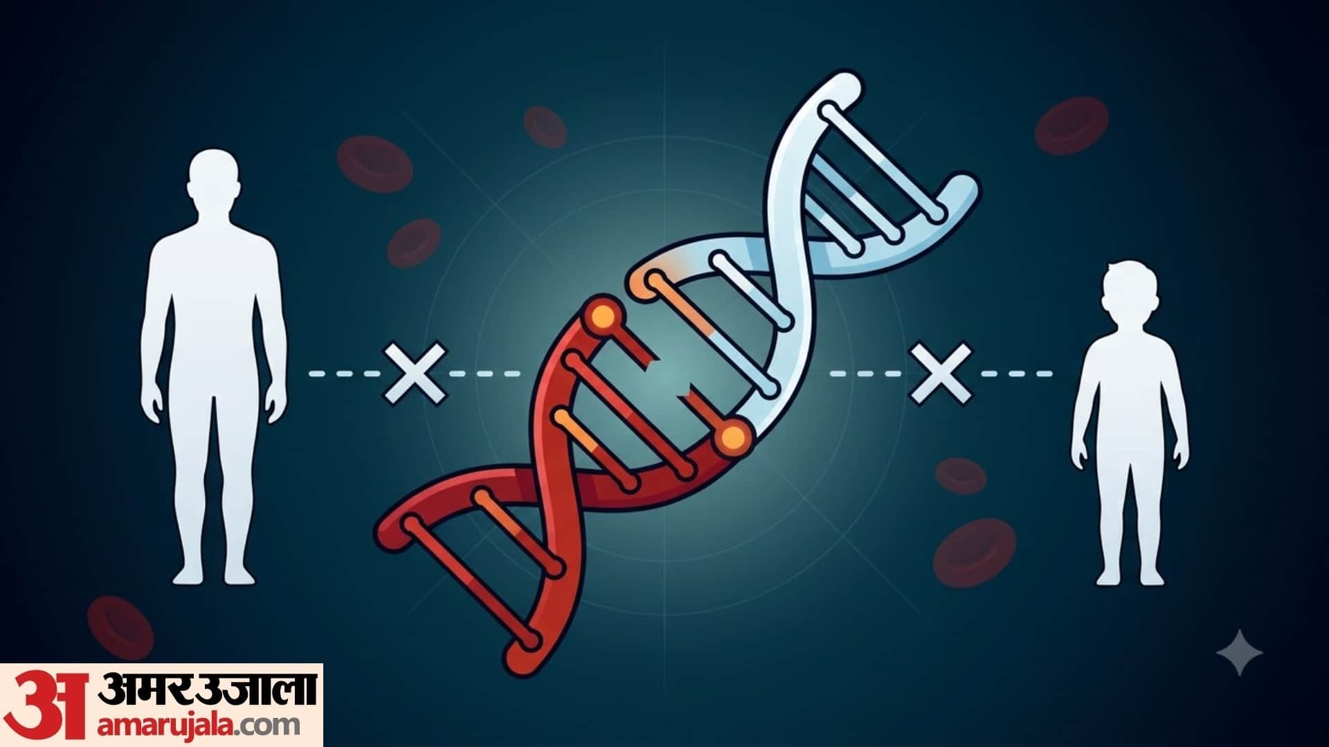 blood cancer awareness month 2026 myths and Facts about Blood Cancer