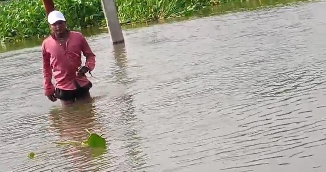 Kanpur Ganga crosses danger mark 3000 bighas of farmland in Katri area submerged access roads also waterlogged