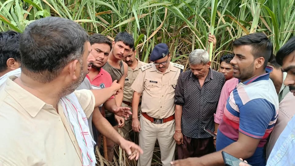 Leopard kills woman in Bijnor villagers stage protest