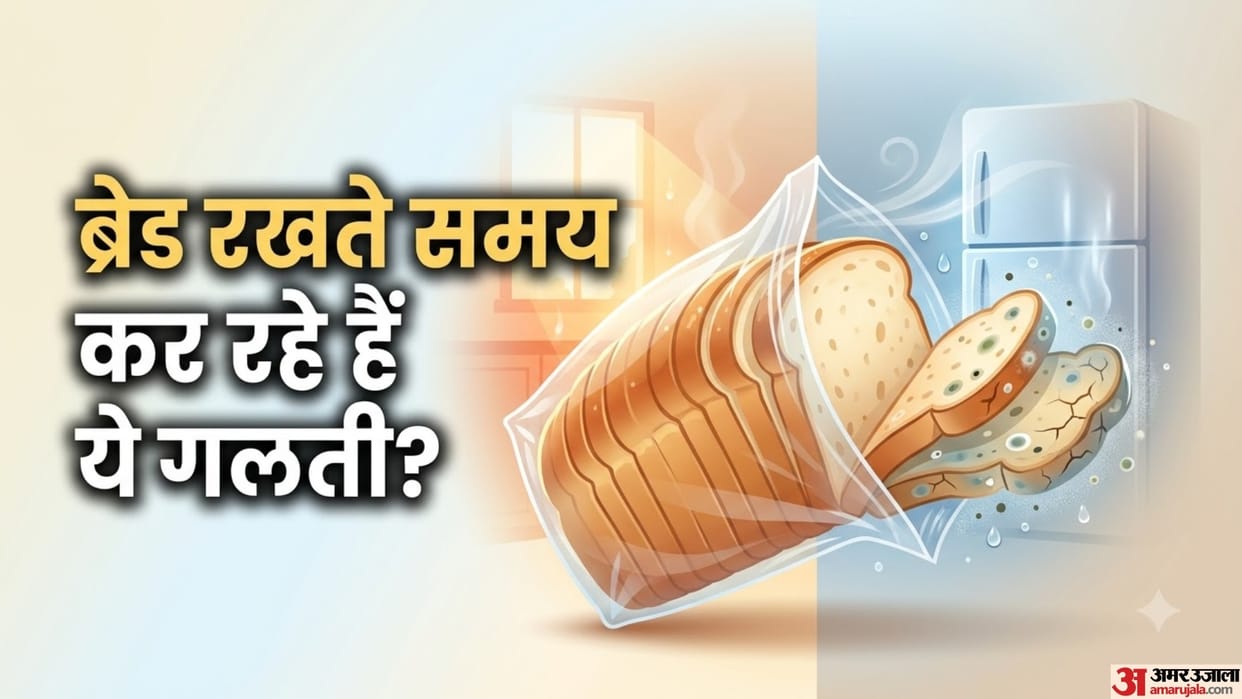 How to Store Bread Properly to Prevent Mold and Staleness