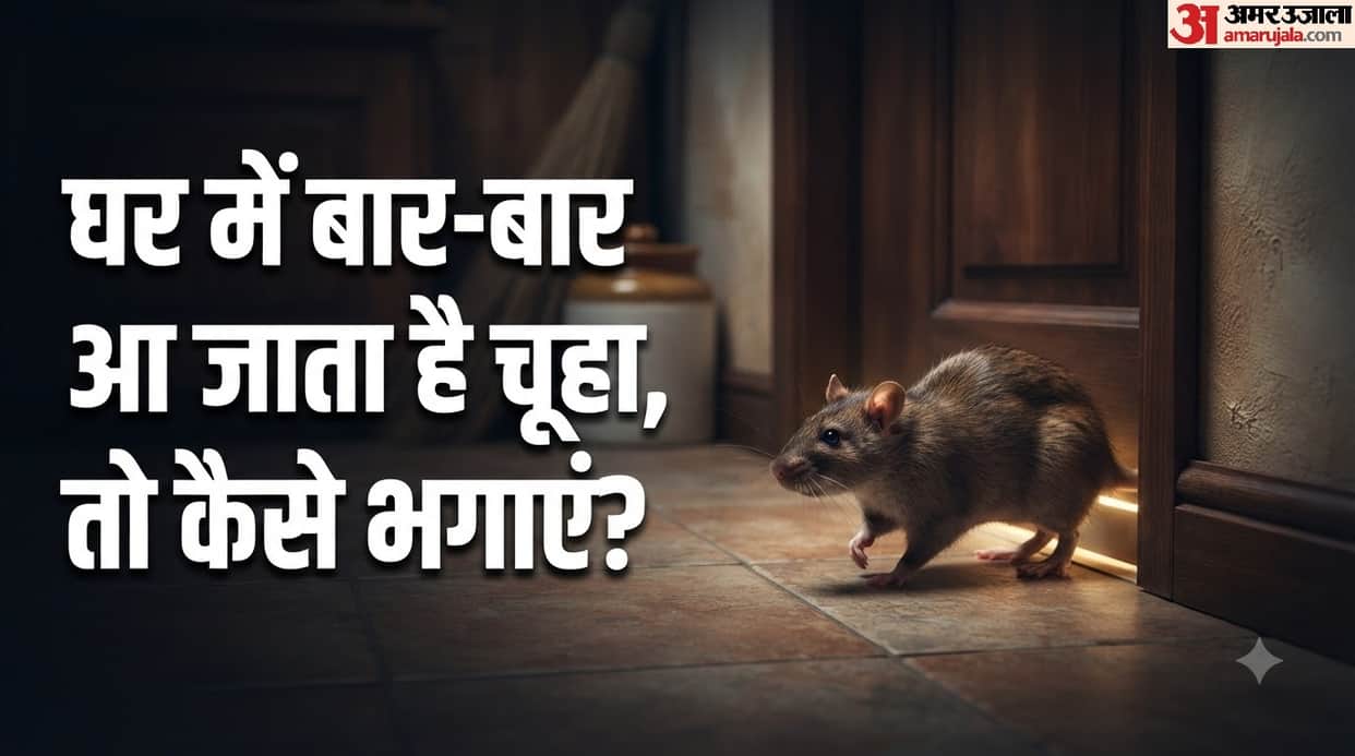 4 Easy Ways to Keep Rats and Mice Away From Your Home Without Killing Them