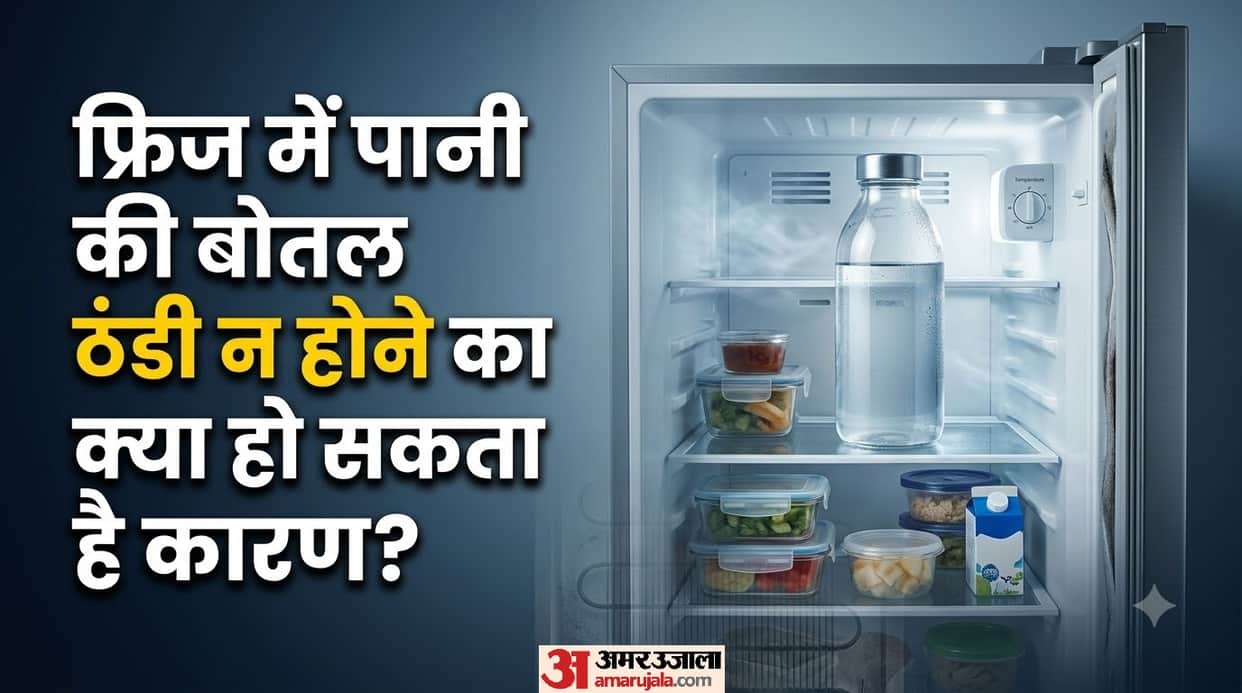 Water Bottle Not Getting Cold in the Refrigerator These 5 Reasons May Be Reducing Cooling