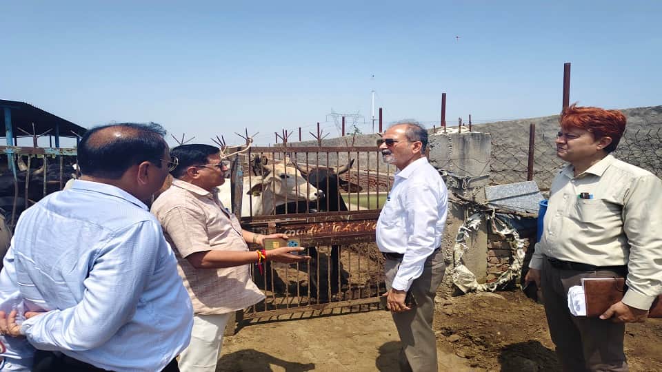CDO visits Lumpi virus affected villages