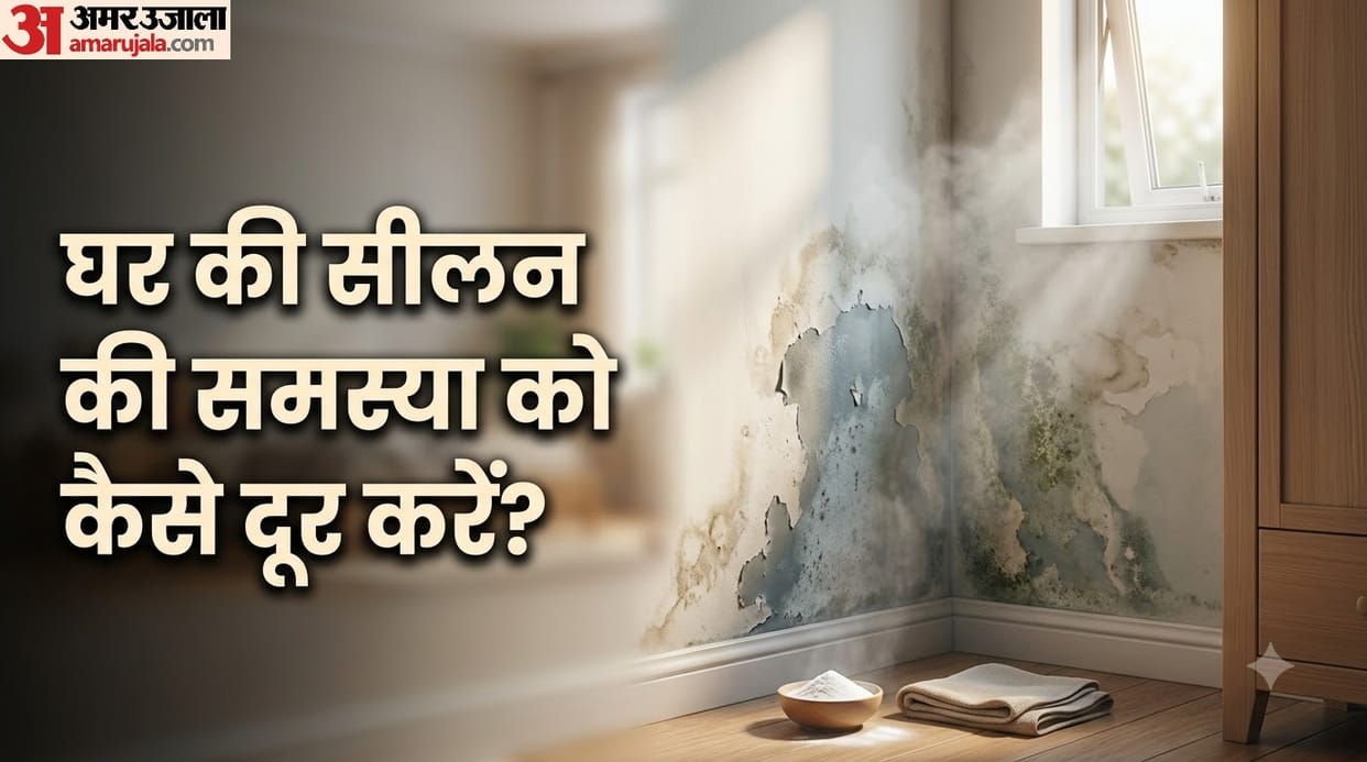 Troubled by Dampness and Bad Smell After Rain? These Home Remedies May Help