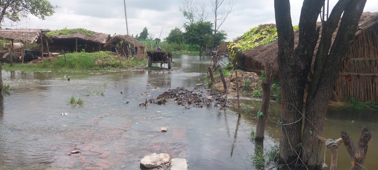 Flood in Badaun Rising water levels of Ganga and Ramganga submerge several villages