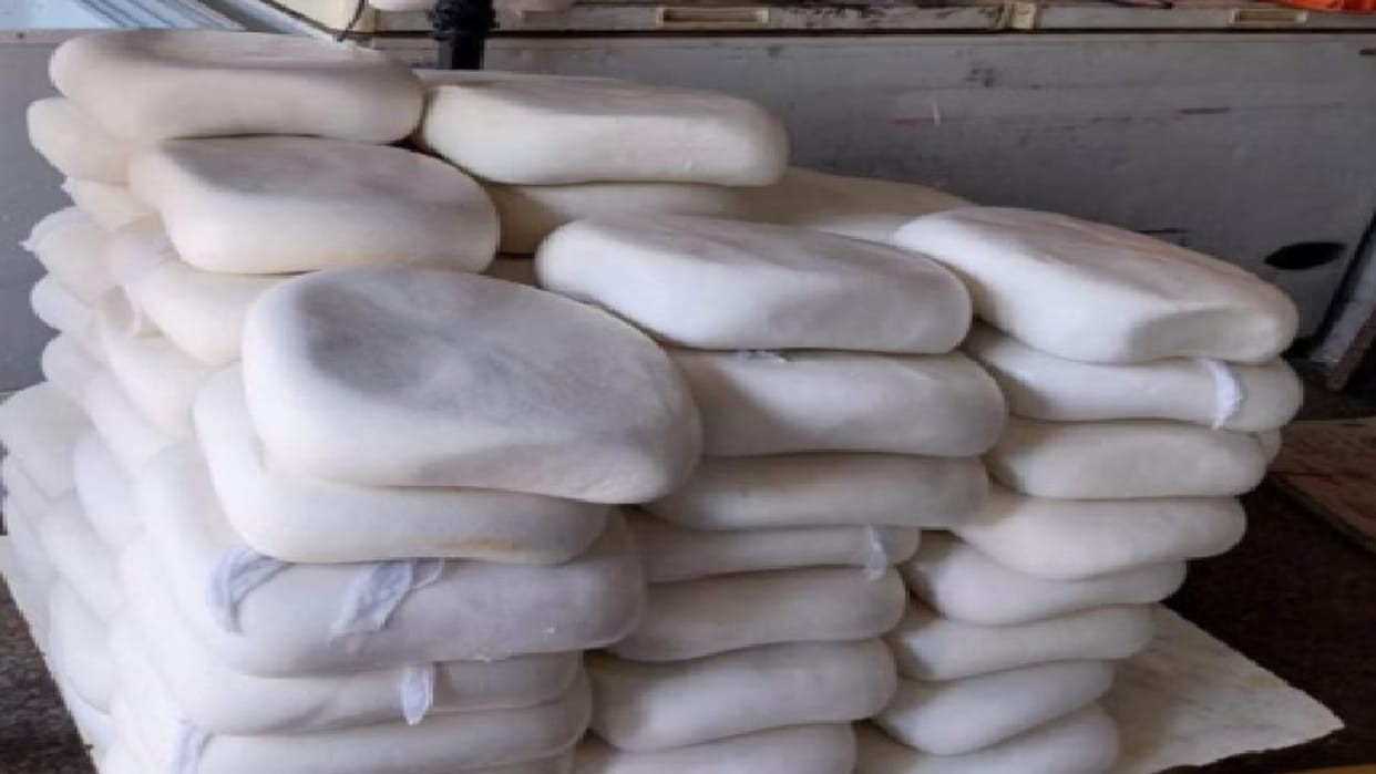 650 kg of fake cheese being manufactured at a plywood factory? A consignment being transported to Odisha was s