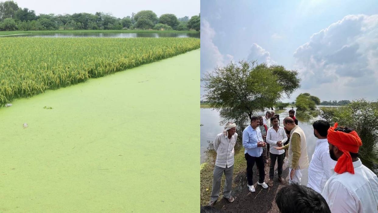 Lucknow: 10,000 acres of crops submerged in floods; 7,000 people across 20 villages affected; schools closed.