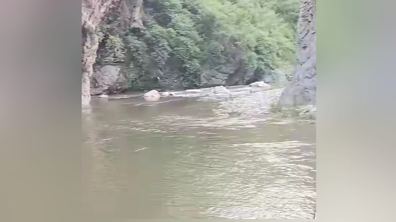 गिरि खड्ड ने छीन ली जिंदगी।