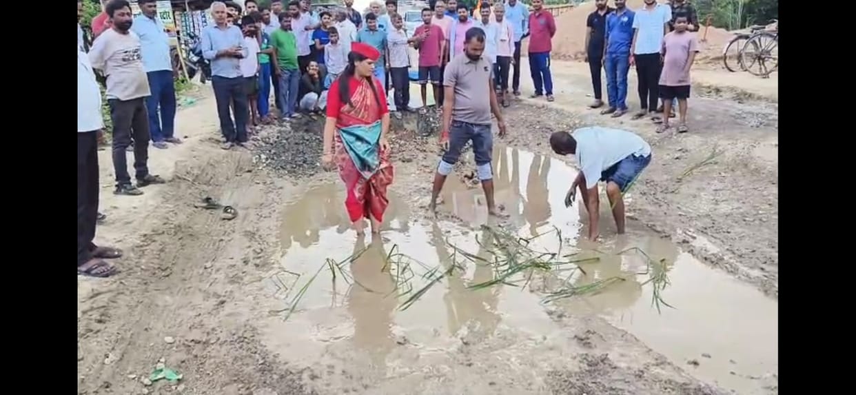Kanpur Road Protest: SP Leader Plants Paddy in Waterlogged Potholes