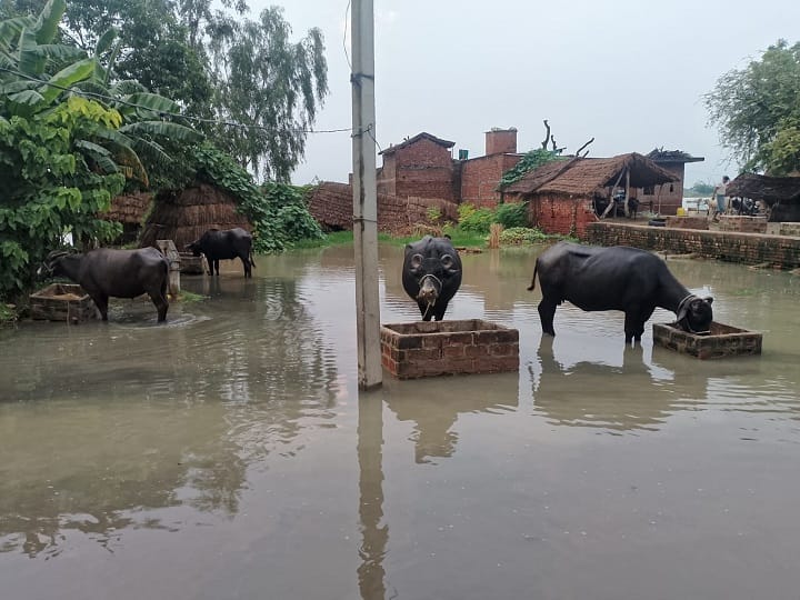 Flood Blocks Hospital Route Seven-Year-Old Boy Dies in Father’s Arms