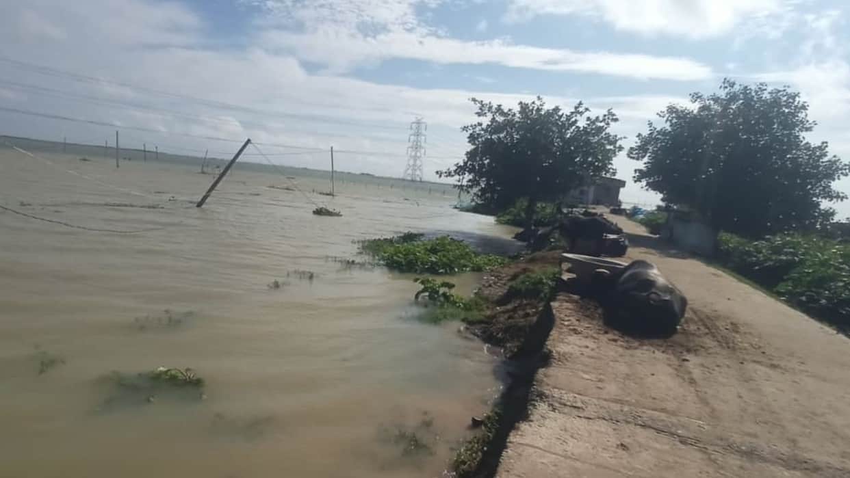 Bihar Flood Crisis Ganga Backwaters Threaten Sarmera Embankments 350 Bighas of Crops Submerged