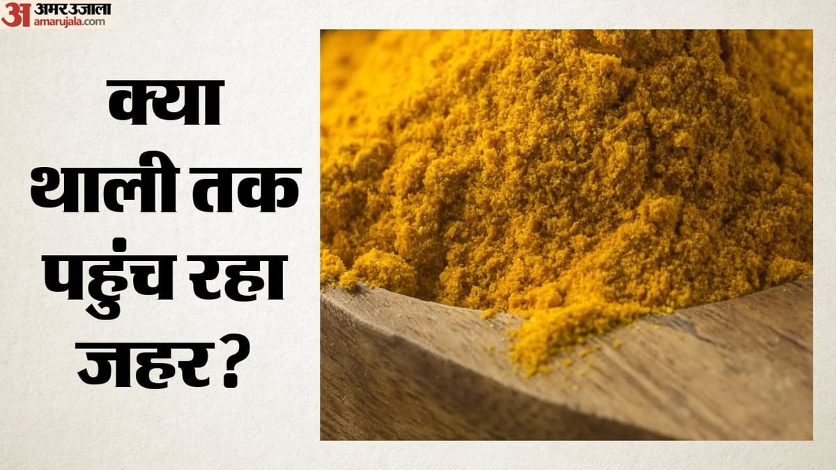 पांच राज्यों की हल्दी में सीसा, 30% नमूने फेल; बच्चों की सेहत पर खतरा