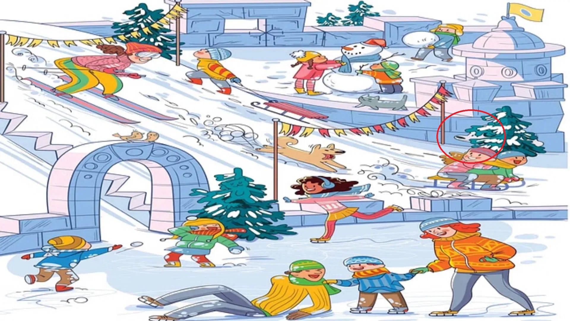 optical illusion can you find bear in 21 Seconds