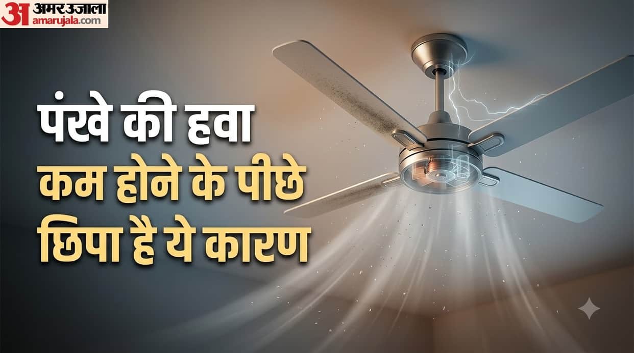 Why Is Your Ceiling Fan Not Giving Enough Air? Check These 4 Reasons
