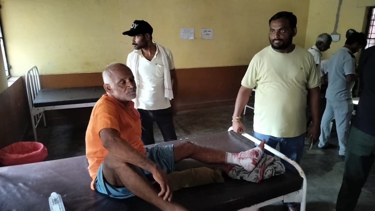 Bull Attacks Father-Son in Unnao, Son Dies While Father Seriously Injured