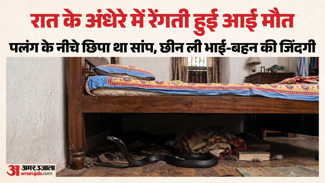 Siblings die of snakebite in Mandi himachal pradesh