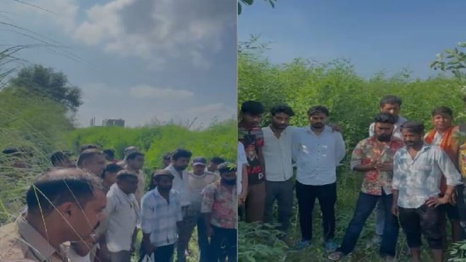 संरक्षित पशु के अवशेष पड़े मिले