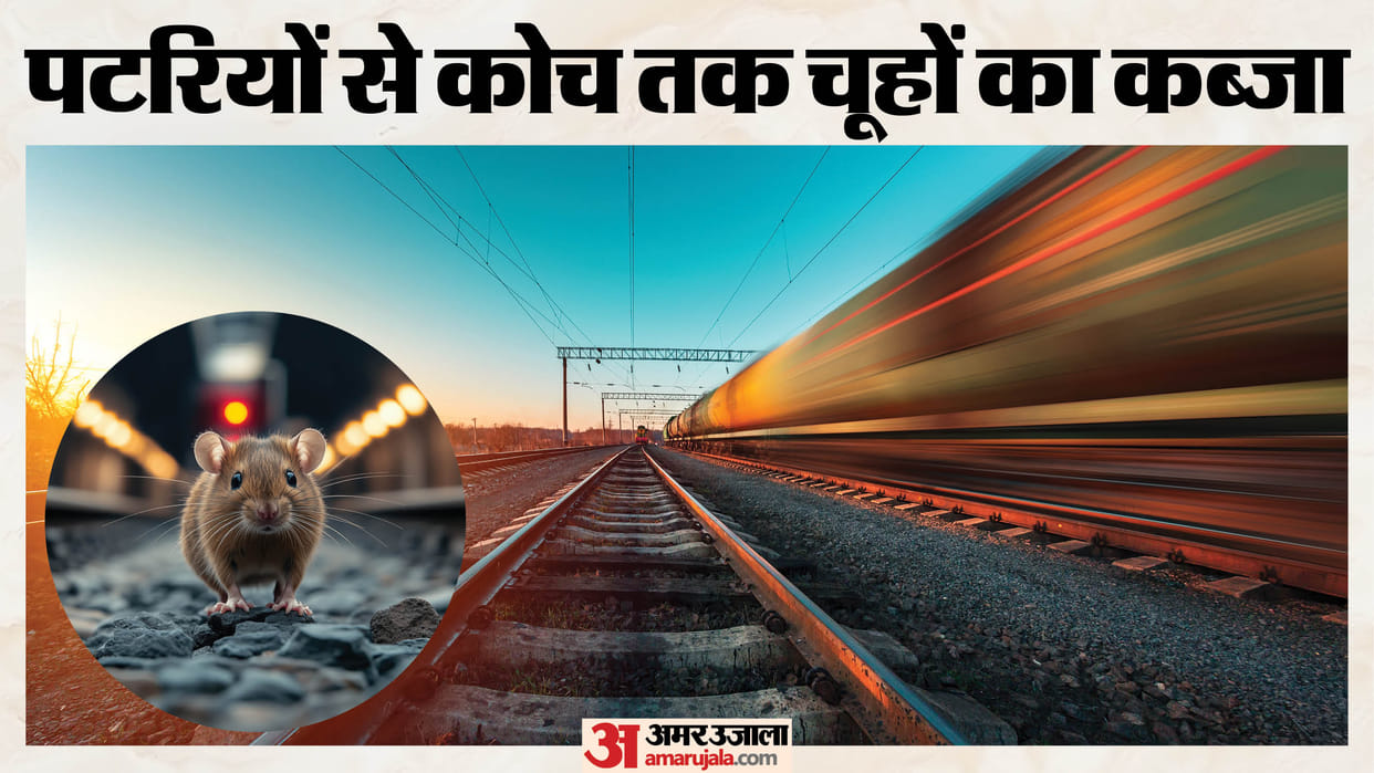 Railway Spends Rs 70 Lakh on Rat Control, Yet Rats Continue to Trouble Passengers