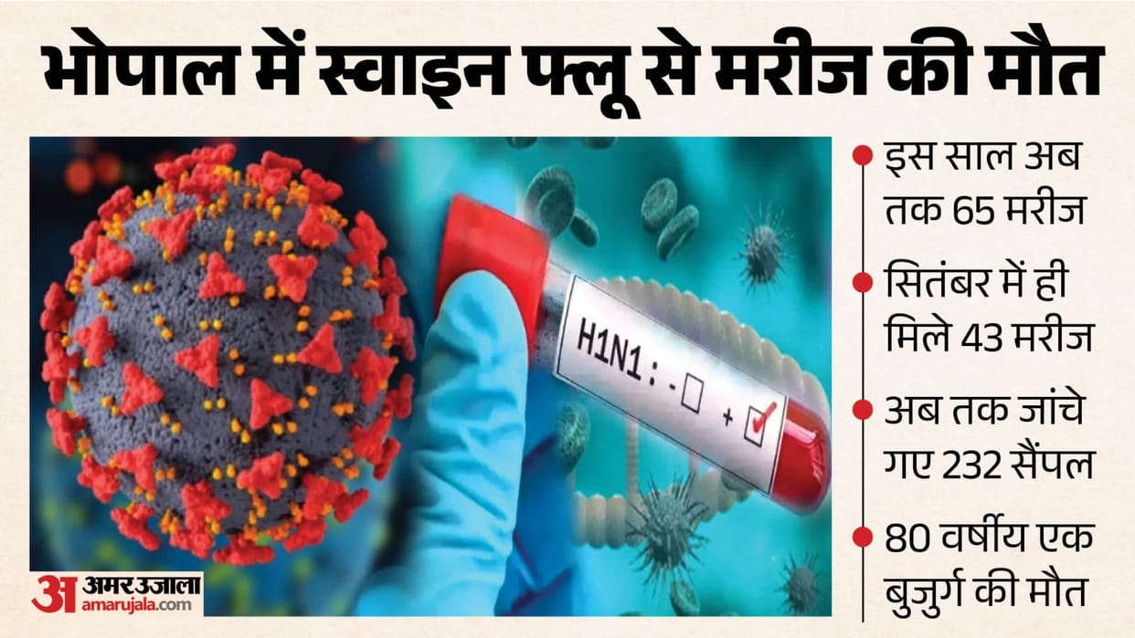 Swine flu cases surge in Bhopal: 43 patients in September, 65 infected this year; 80-year-old dies