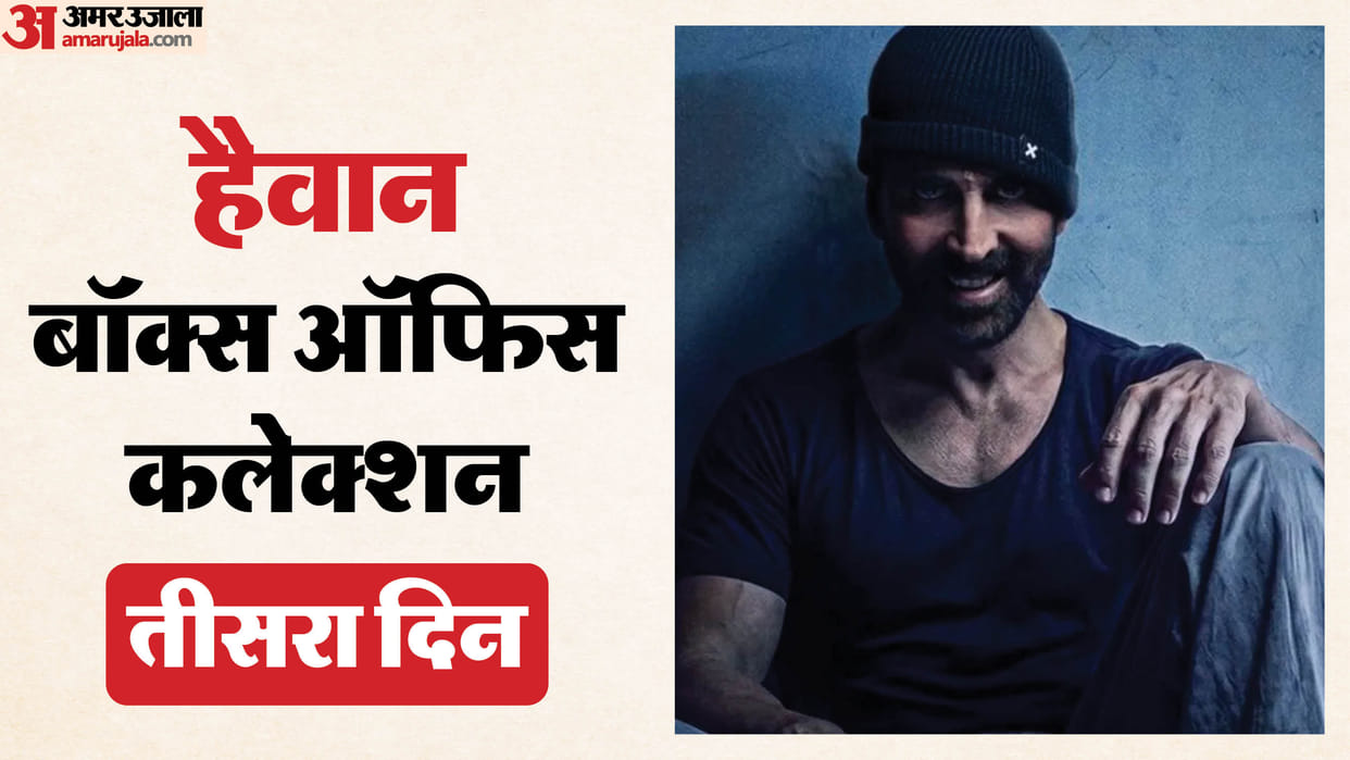 film haiwaan sunday  Box Office Collection featuring saif ali khan and akshay kumar